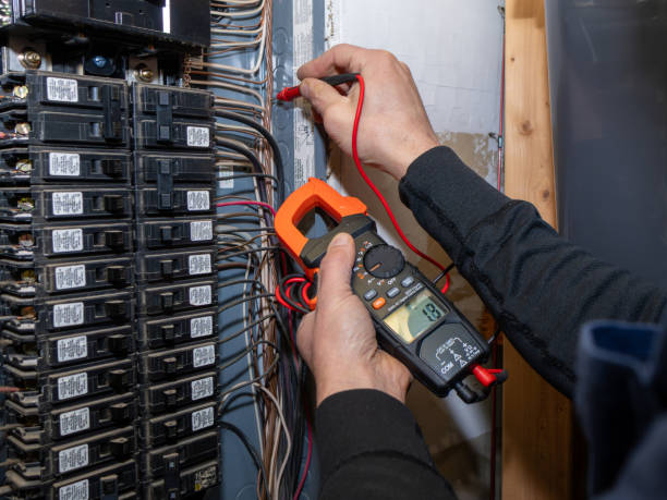 Best Electric Panel Repair  in Pelican Bay, TX